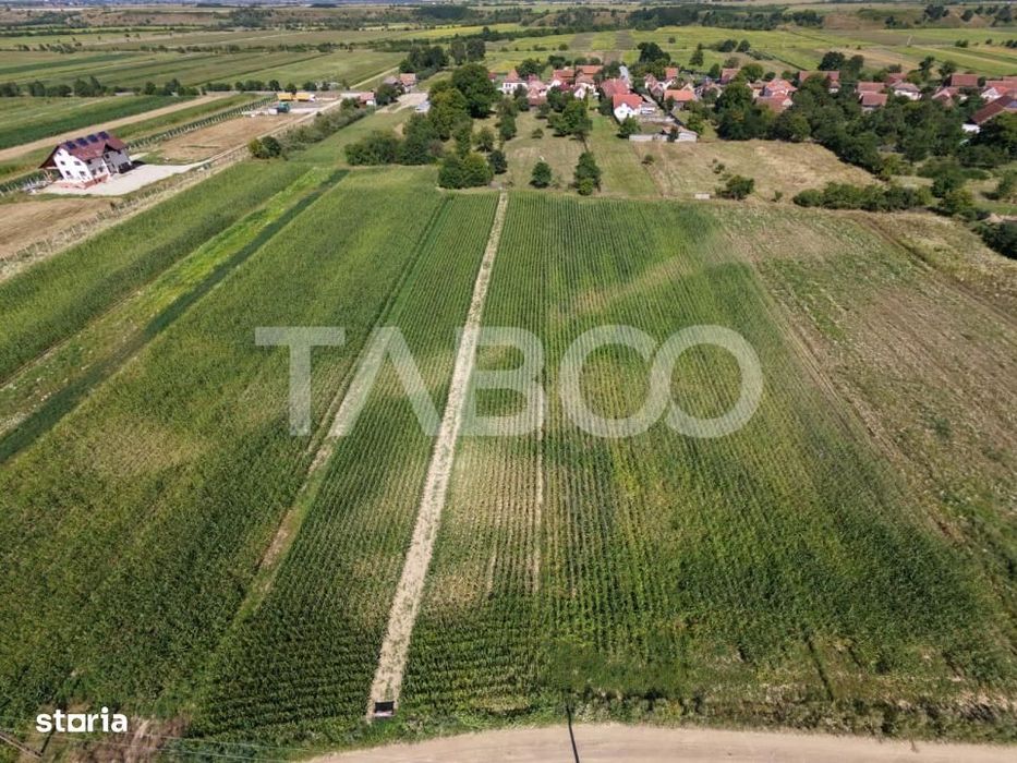 Teren intravilan 2000 mp si extravilan 1150 mp de vanzare in Vad
