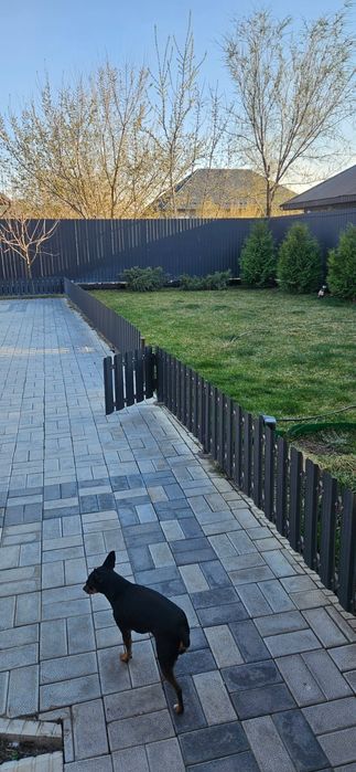 Декоративный забор