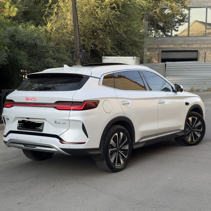 Byd champion smart