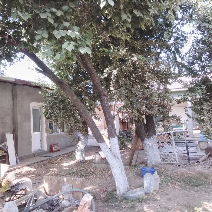 Продается дачный участок, свой, без посредников.