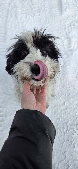 Пристраивется девочка молодая