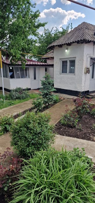 Casa de vanzare valea prahovei