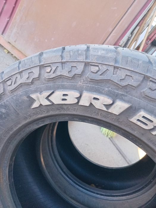 Продам 2 ва болона