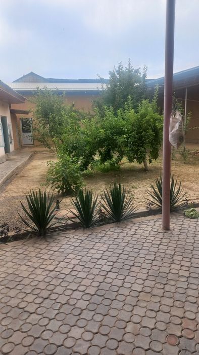 3sotik uchaska srochna sotiladi