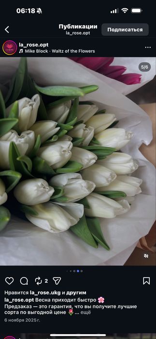 Тюльпаны оптом и в розницу