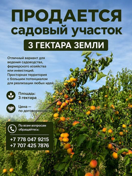Земельный участок