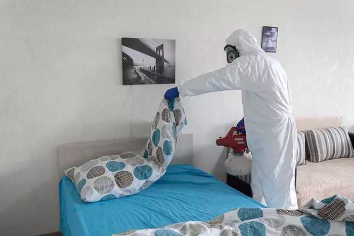 Dezinfeksiya xizmati klapa, tarakan, ilon. Уничтожение клопов, таракан