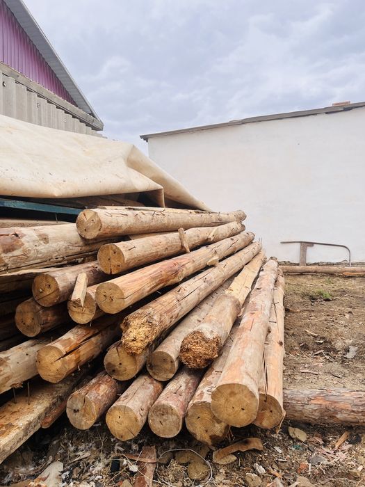 Бревно, стояки, кругляк