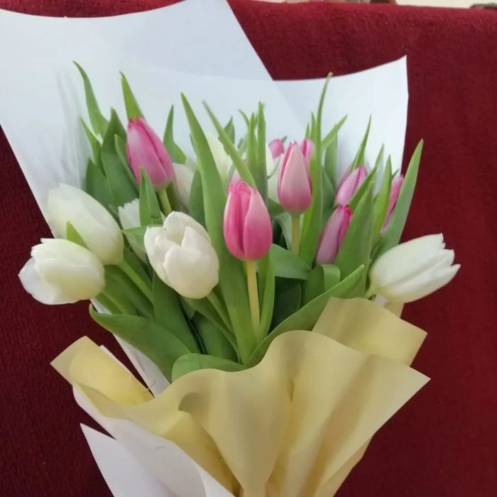 Тюльпаны оптом от 420 тенге
