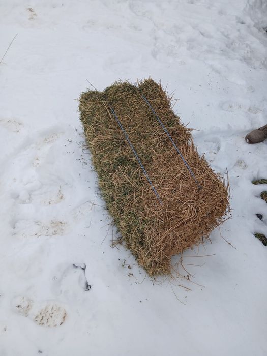 Vand balotii de lucerna