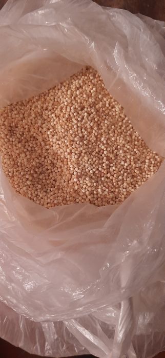 Продам пшено,просо,тары