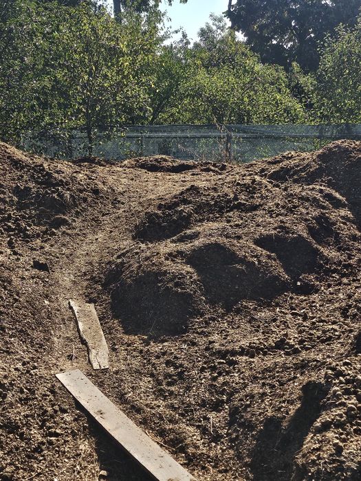 Gunoi de grajd - cal cu talas