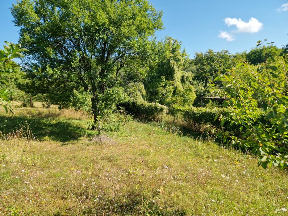 Продава се Парцел в с. Горна Козница, Област Кюстендил - 1485 кв.м за 5 €/кв.м - Снимка #15