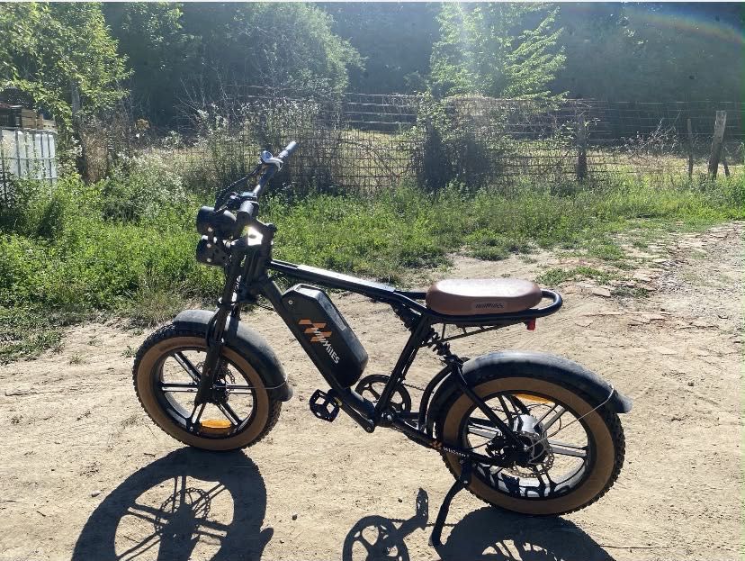 Bicicletă electrică