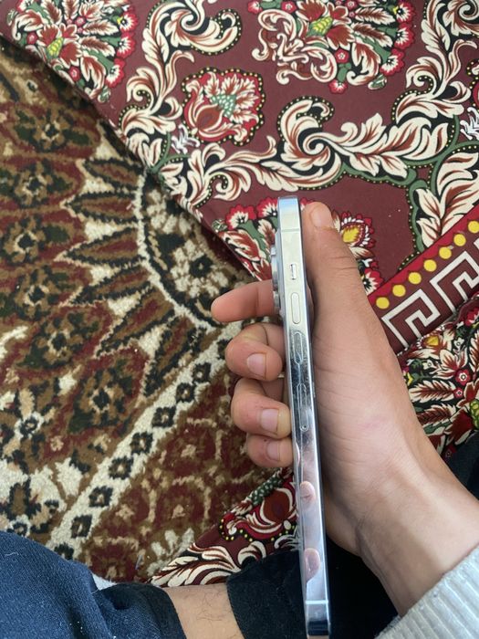 Iphone 13pro max srochna