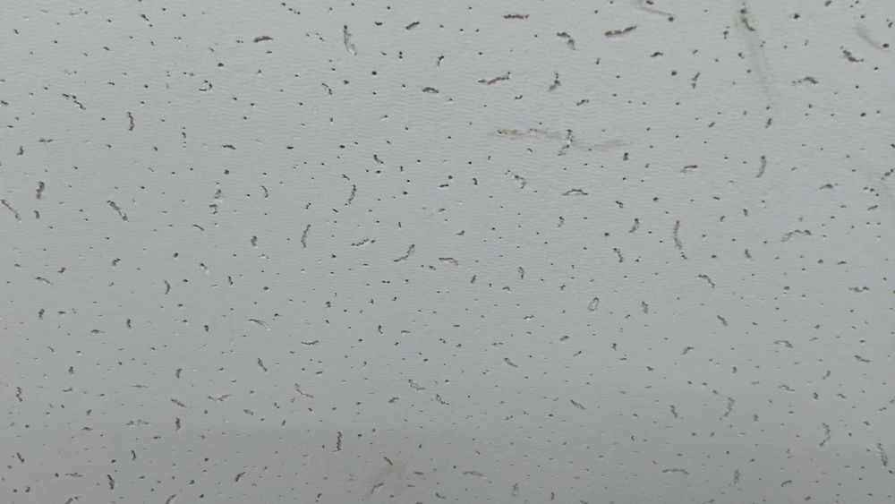 Армстронг потолок