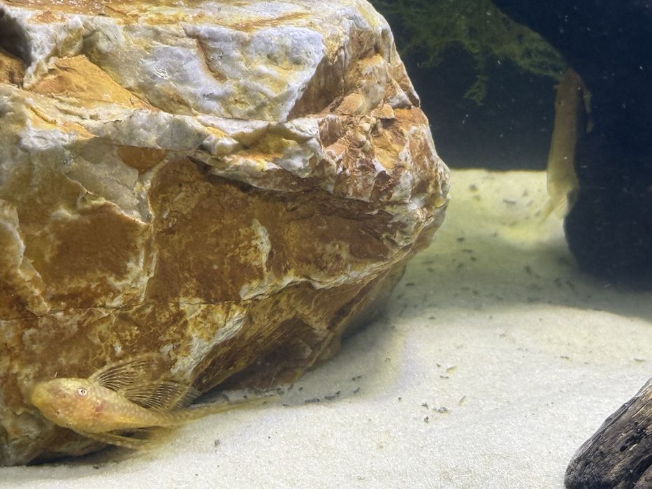 Аквариум с рыбками