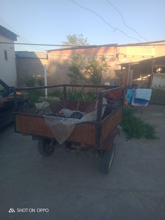 Муравей не на ходу