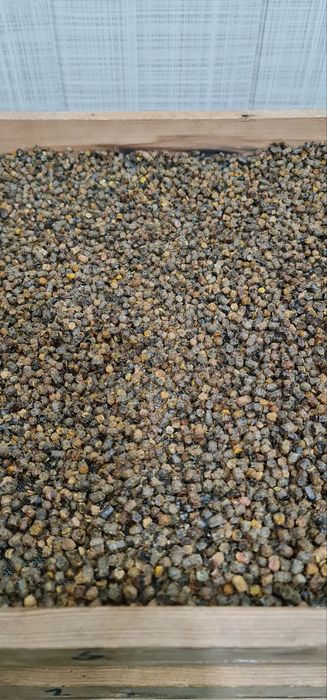 Продаю Пергу  Пчелиный хлеб!!!