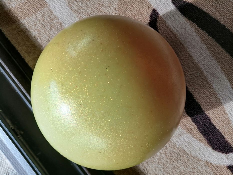 Топка за художествена гимнастика Pastorelli