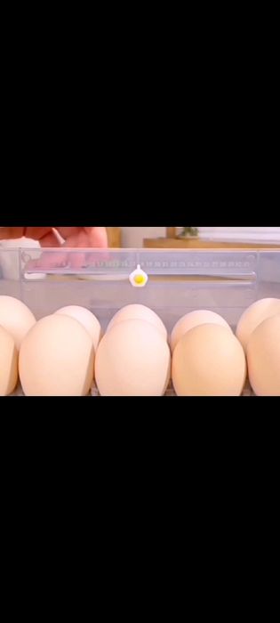 Лоток контейнер для яиц