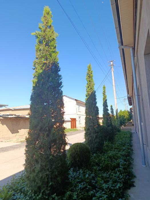 Shar,skelet va pryamoy archalar tayyor kesilgan