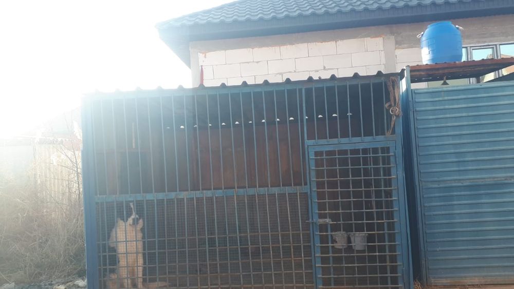 Продам вальер для собаки