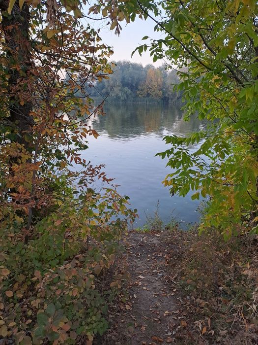 Продам дачу общество строитель