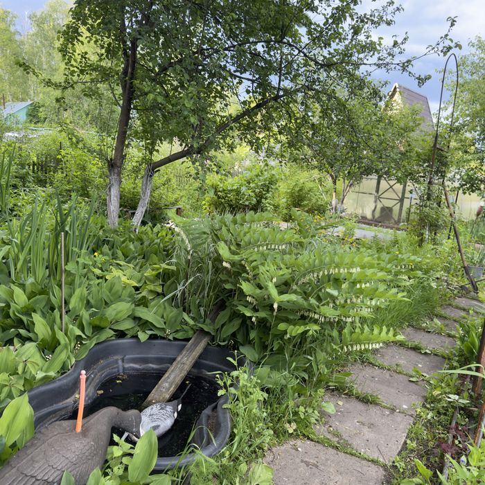 Дача Со горизонт