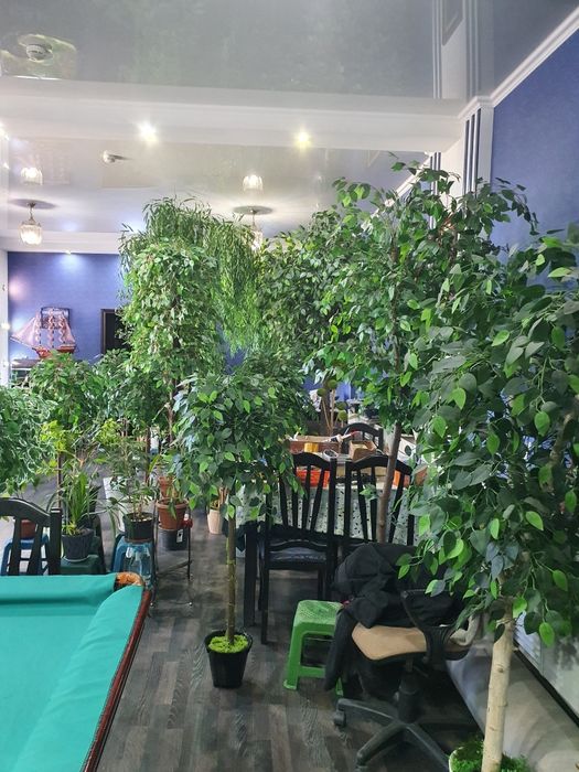 Продам искуственые деревья