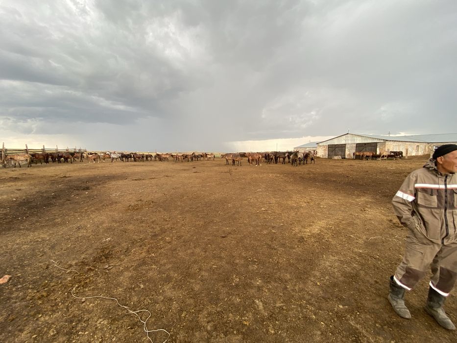 Хозяйство фермерское