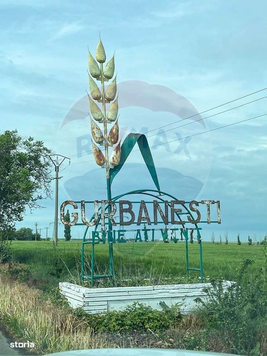 Teren intravilan de vanzare 2.464 mp, Gurbanesti