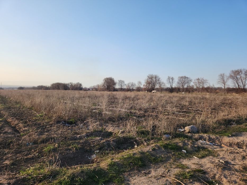 Сдам в аренду участок