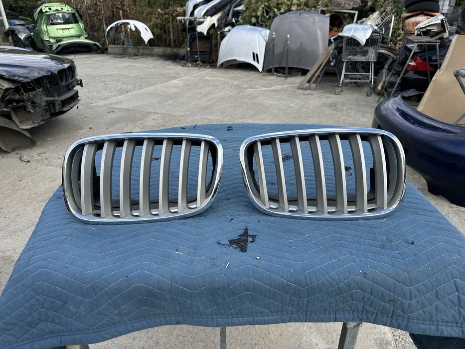 Бъбреци за BMW 2008