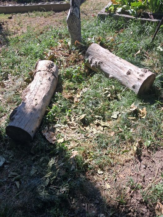 Продам на дрова . Пни