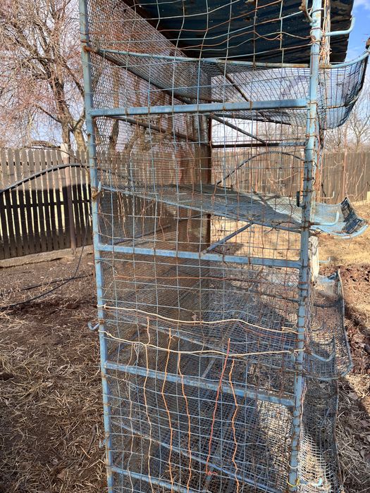 Cușcă pertru prepelite