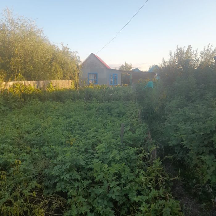 Срочно продам дачу
