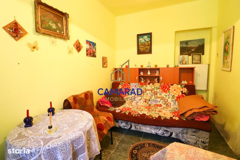 Apartament in vila sau toata vila - vanzare - Cartierul Armenesc  Univ