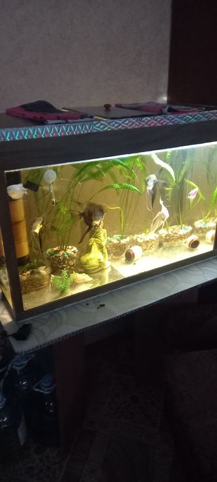 Аквариум 160 литров