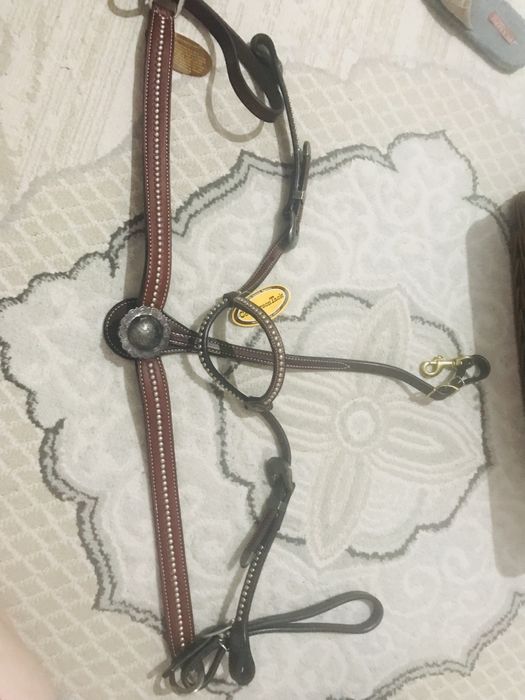 Для лошодей.