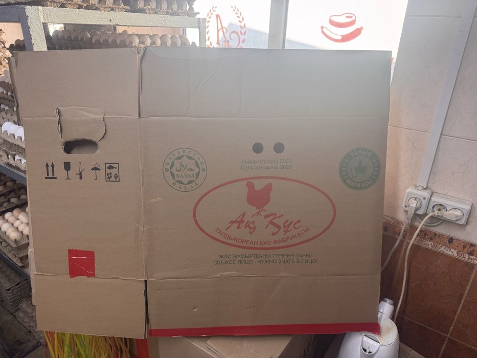 Коробки из под яиц.