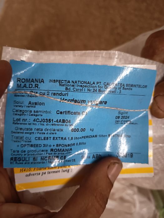 Orzoaică primăvară