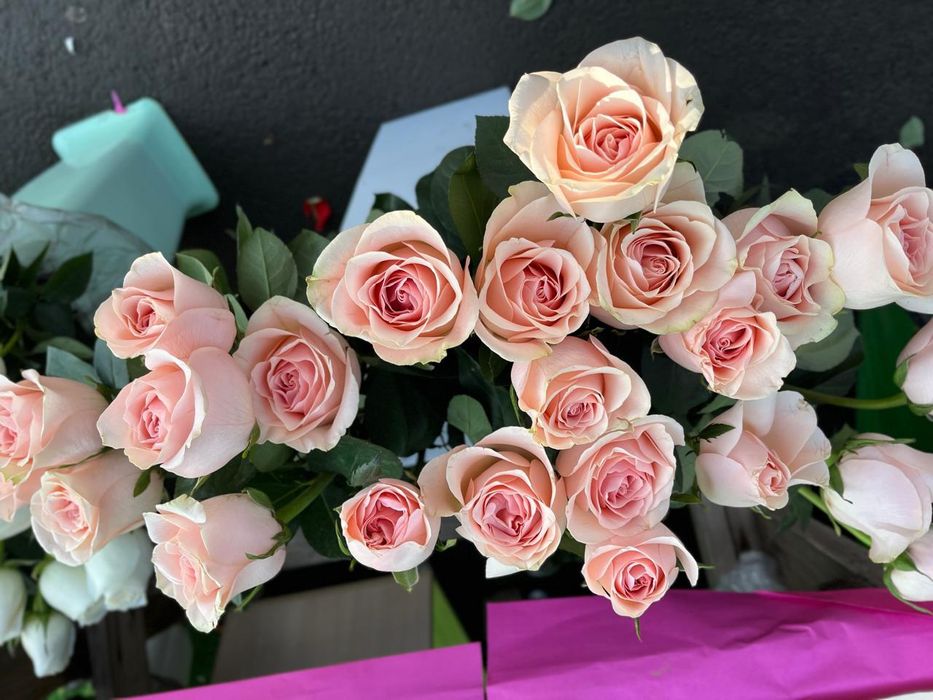 Тюльпаны 8 марта