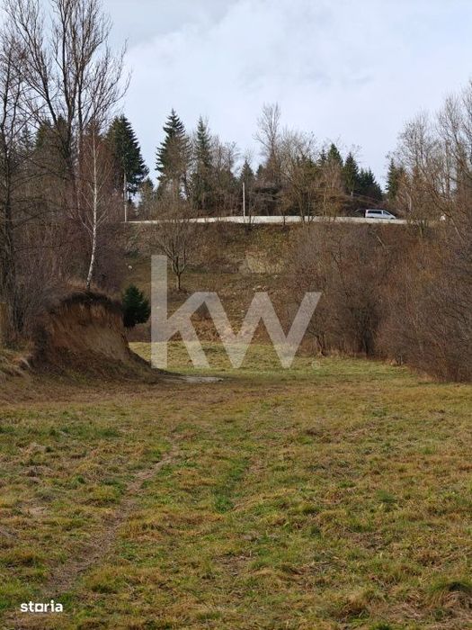 Teren intravilan Dambovicioara, Teren la munte / Repozitionare Pret