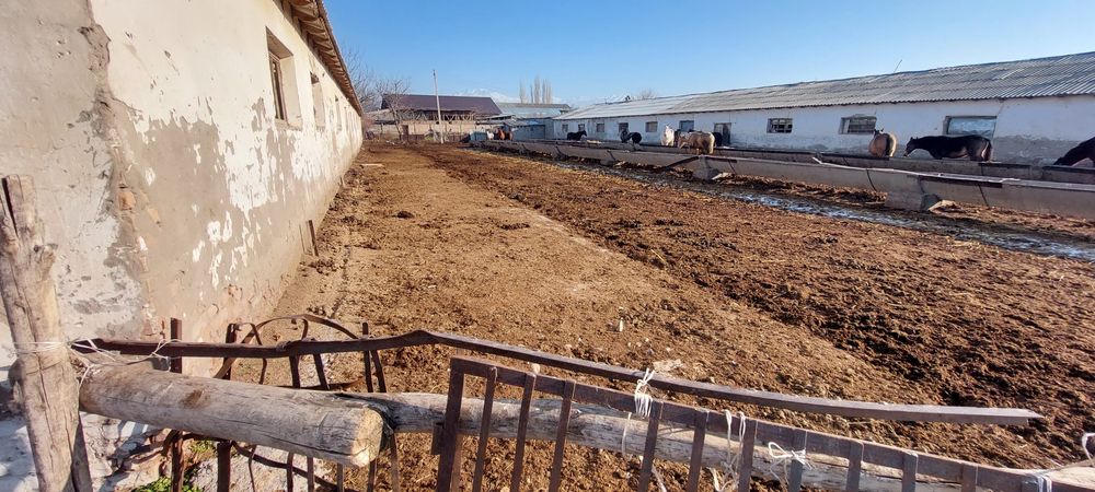 Ферма сотилади 0,75