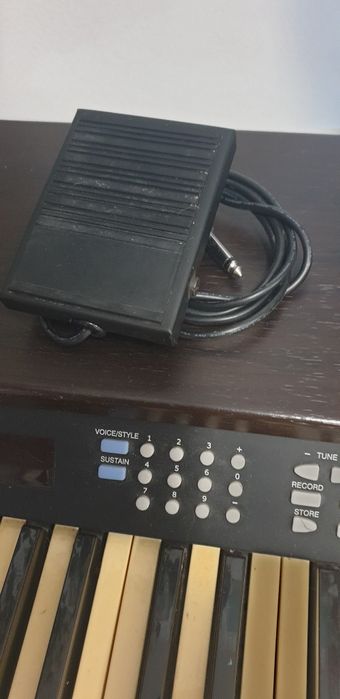 Pian electric Delson