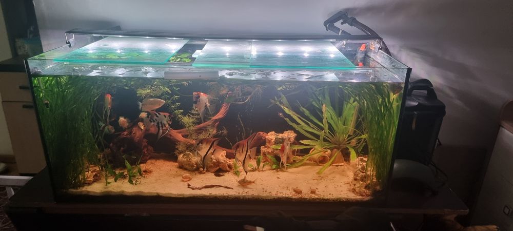 Аквариум продам полный комплект
