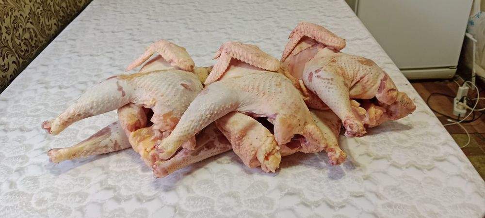 Домашние куры чищеные