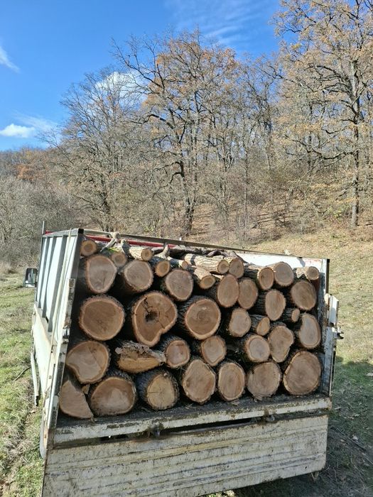 Lemne pentru foc esență tare