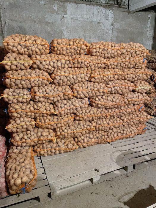 Cartofi consum Alb (0,7 lei) Vineta